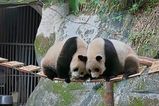 登哥给力！哈登过去6战有5场得到两双数据 对阵湖人差1次助攻